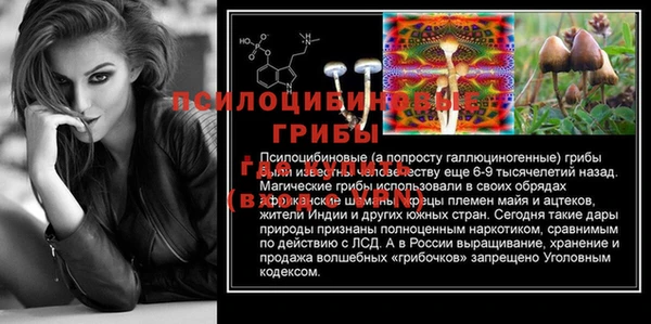 сатива Абдулино